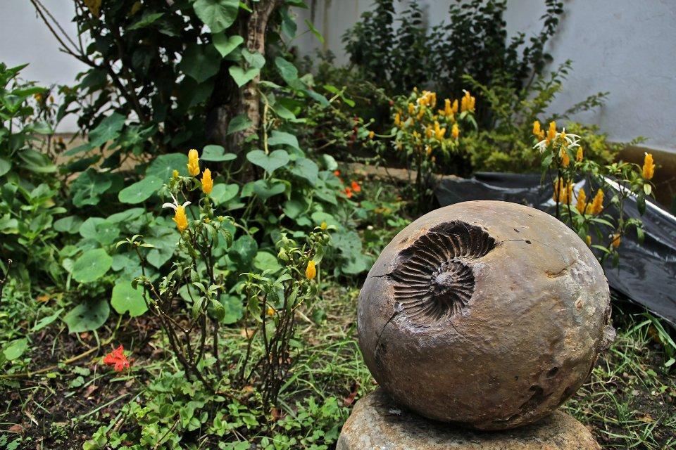 Casa Hostal 비야 데 레이바 외부 사진